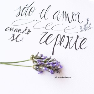 Repartiendo amor