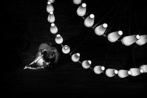 ISPWP fotografías de bodas