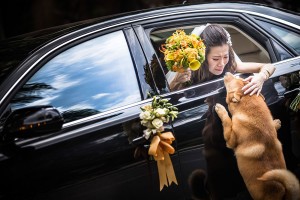 ISPWP fotografías de bodas