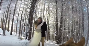 Boda filmada por un perro