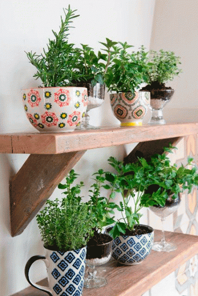 cup diy orchard handmade small house