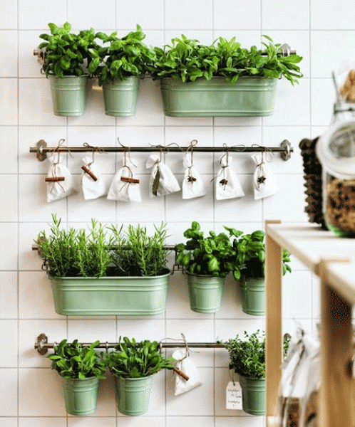 hanging orchard diy