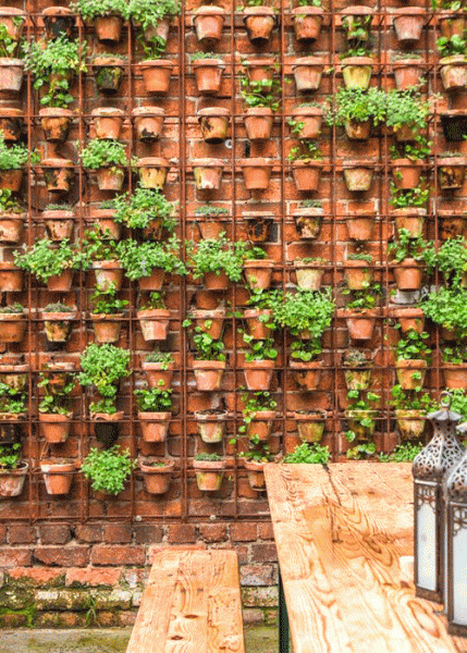 wall orchard diy