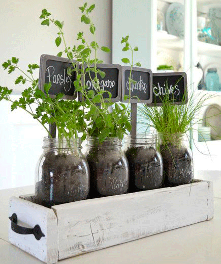 diy mason jar orchard