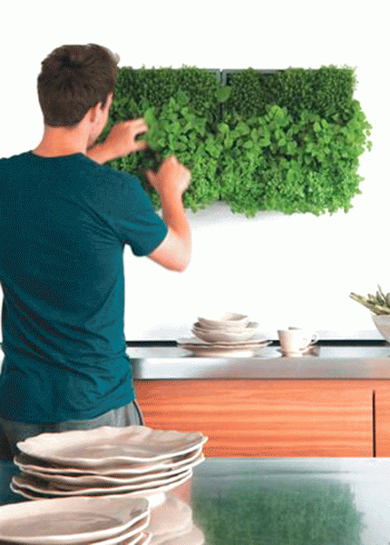 vertical wall orchard diy
