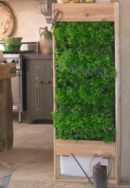 Huerto hierbas aromáticas deco diy