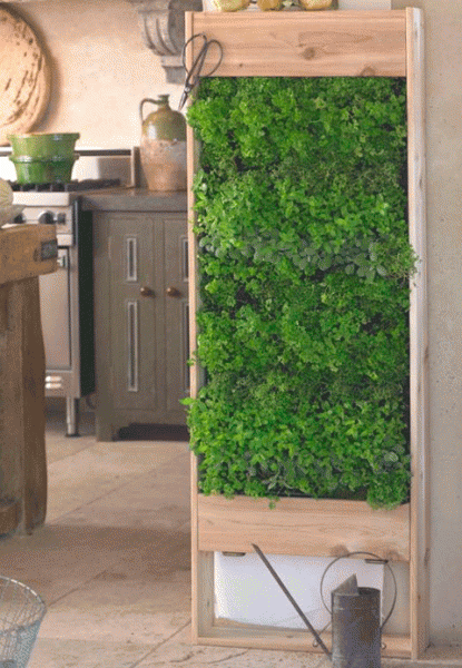 Huerto hierbas aromáticas deco diy