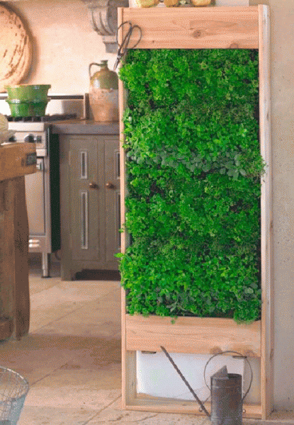 Huerto hierbas aromáticas deco diy