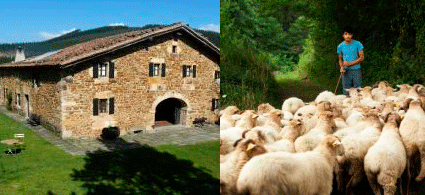 vacaciones verano experiencia diferente pastor rural campo