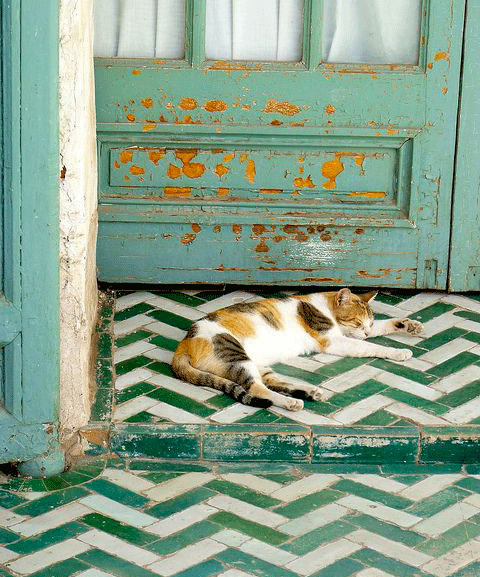 inspiracion azulejos ladrillos decoración suelo
