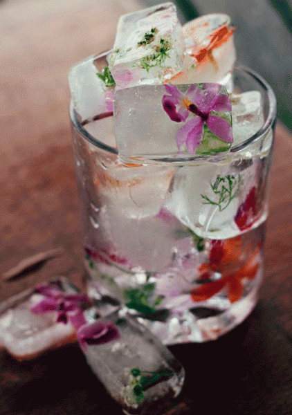 ice cube refresco drink cold summer original different