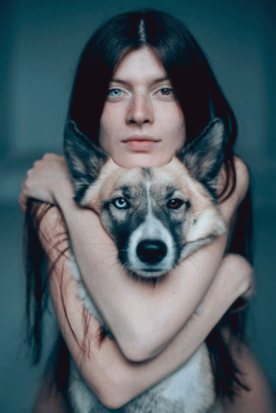 perro fotografía foto pet puppy dog cute love