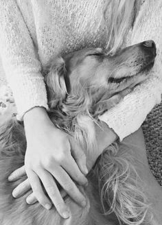 perro-mano-fotografia-bonita-inspiracion-foto-con-tu-mascota