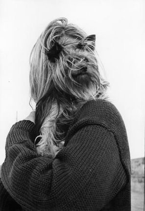 perro-retrato-foto-inspircion-ideas-mascota-