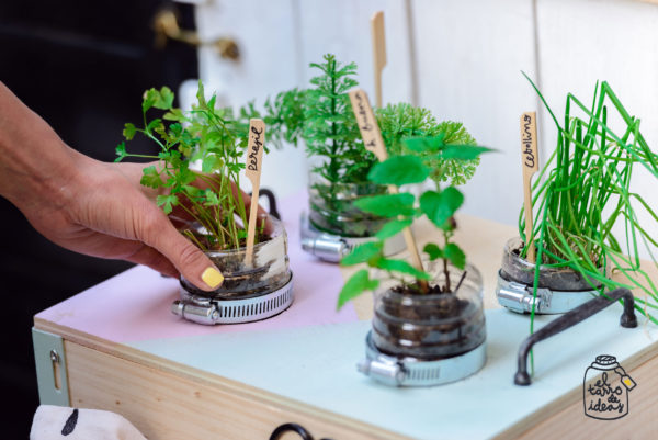 huerto, platas, cocina, verano, decoracion, el tarro de ideas, reciclar, madera, plantas aromáticas, recetas