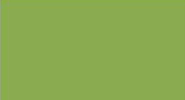 greenery, color, verde, pantone, 2017, tendencia, inspiracion,