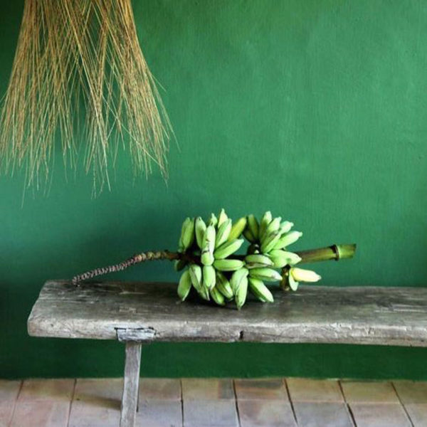 greenery, color, verde, tazas, accesorios, blog, style, decoracion, home, hogar