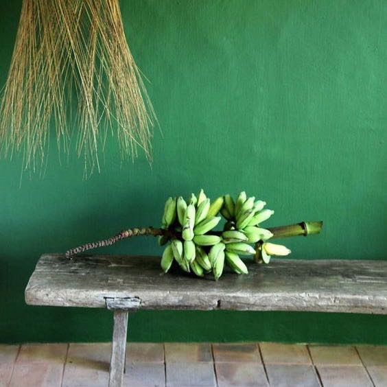 greenery, color, verde, tazas, accesorios, blog, style, decoracion, home, hogar