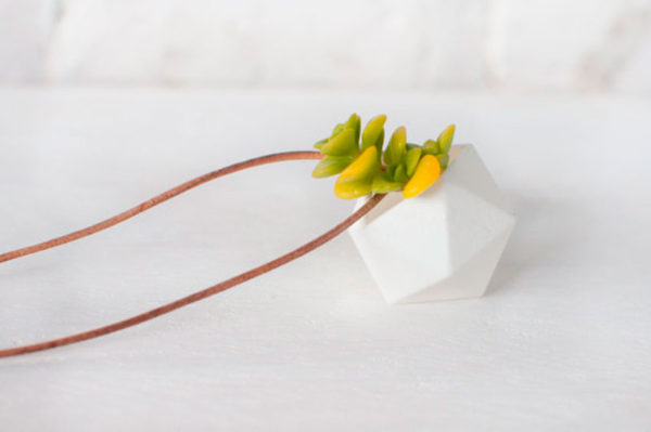 regalos originales, regalos diferentes, regalos de ultima hora, regalo navidad, plantas, joyas, colgante