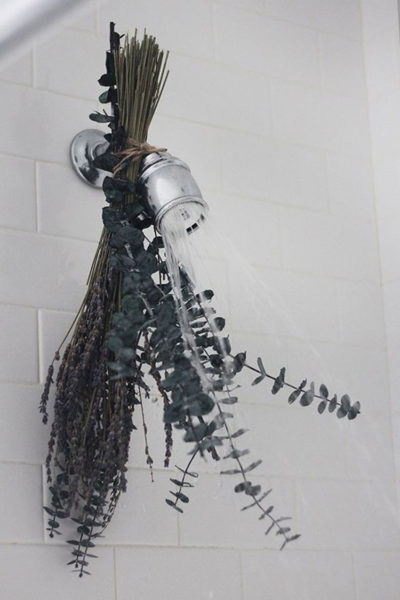 eucalipto, decoracion, cocina, aromaterapia, jarrón , camino de mesa, fiesta, eventos, habitación, cabecero, dormitorio, hogar, bastidor, ramo , colgador, fotografias, espejo, baño, ducha, olor, aroma