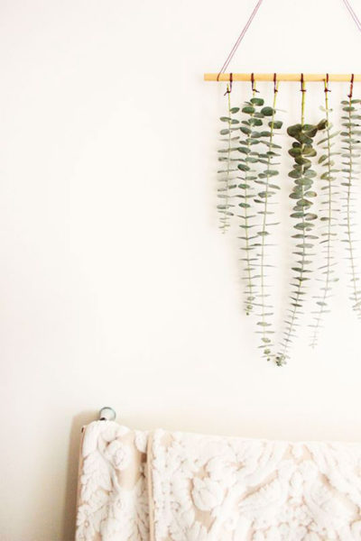 eucalipto, decoracion, cocina, aromaterapia, jarrón , camino de mesa, fiesta, eventos, habitación, cabecero, dormitorio, hogar, bastidor, ramo