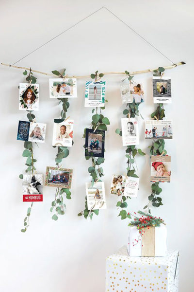 eucalipto, decoracion, cocina, aromaterapia, jarrón , camino de mesa, fiesta, eventos, habitación, cabecero, dormitorio, hogar, bastidor, ramo , colgador, fotografias