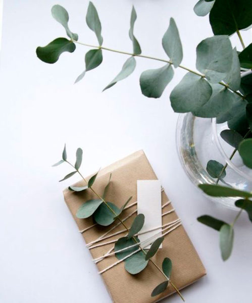 eucalipto, decoracion, regalos, envolver, packaging